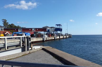 Grisslehamn